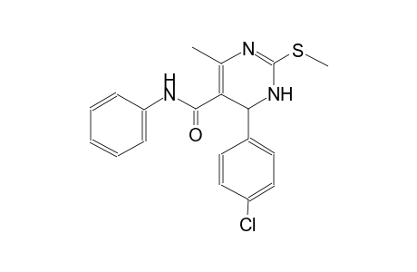 6-(4-chlorophenyl)-4-methyl-2-(methylsulfanyl)-N-phenyl-1,6-dihydro-5-pyrimidinecarboxamide
