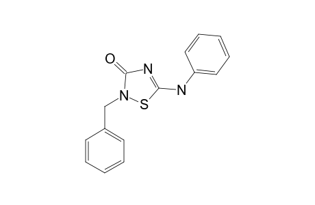 5-ANILINO-2-BENZYL-3-OXO-DELTA-4-1,2,4-THIADIAZOLINE