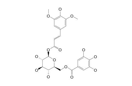 1'-O-SINAPOYL-6'-O-GALLOYL-BETA-D-GLUCOPYRANOSIDE