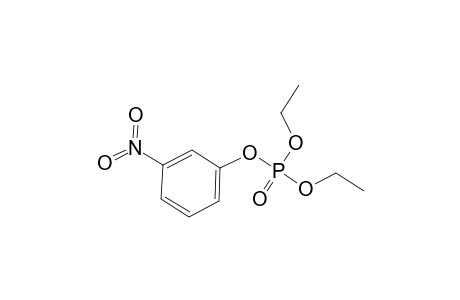 Phosphoric acid, diethyl 3-nitrophenyl ester