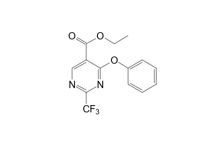 4-phenoxy-2-trifluoromethyl-5-pyrimidinecarboxylic acid, ethyl ester