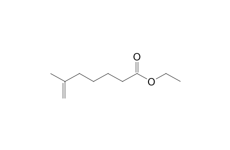 Ethyl 6-methylhept-6-enoate
