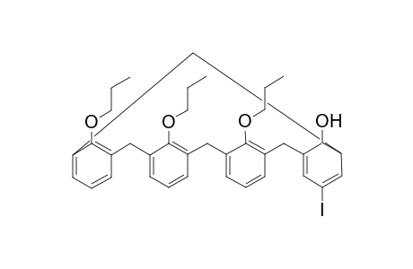 28-Hydroxy-5-iodo-25,26,27-tris[O-propyl]calix[4]arene
