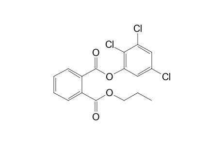 Phthalic acid, propyl 2,3,5-trichlorophenyl ester