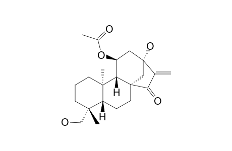 ISODOPHARICIN-C;11-BETA-ACETOXY-13-ALPHA,19-DIHYDROXY-ENT-KAUR-16-EN-15-ONE