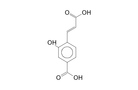 4-(2-Carboxyvinyl)-3-hydroxybenzoic acid