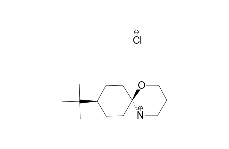 9-TERT.-BUTYL-1,5-OXAZASPIRO-[5.5]-UNDECANE-HYDROCHLORIDE;CIS-ISOMER