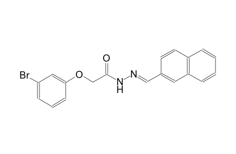 acetic acid, (3-bromophenoxy)-, 2-[(E)-2-naphthalenylmethylidene]hydrazide