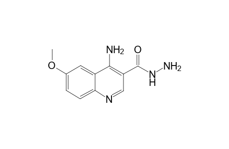 3-Quinolinecarboxylic acid, 4-amino-6-methoxy-, hydrazide