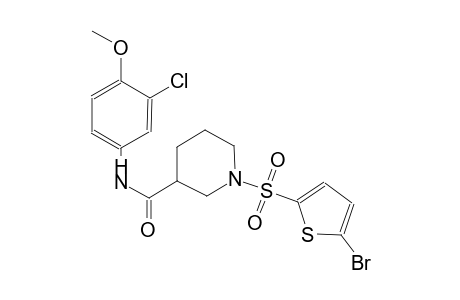 1-[(5-bromo-2-thienyl)sulfonyl]-N-(3-chloro-4-methoxyphenyl)-3-piperidinecarboxamide