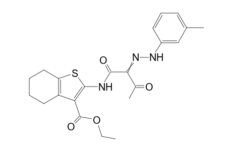 N-(3-Ethoxycarbonyl-4,5,6,7-tetrahydrobenzo[b]thien-2-yl)-2-(3-methylphenyl hydrazono)-3-oxobutanamide
