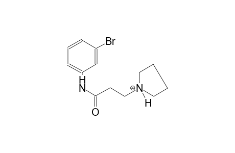 1-[3-(3-bromoanilino)-3-oxopropyl]pyrrolidinium