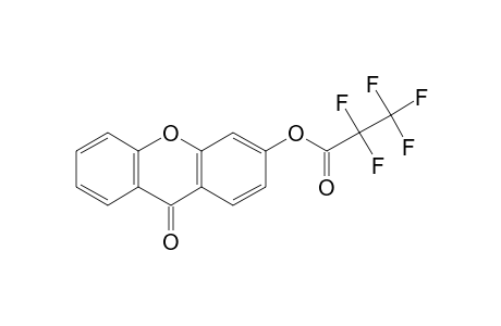 3-Hydroxyxanthone, pentafluoropropionate