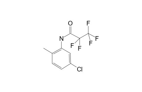 5-Chloro-2-methyl-aniline, N-pentafluoropropionyl-