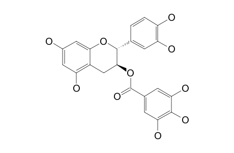 CATECHIN-3-O-GALLATE