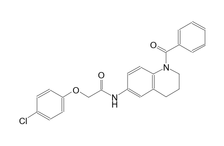 N-(1-benzoyl-1,2,3,4-tetrahydro-6-quinolinyl)-2-(4-chlorophenoxy)acetamide