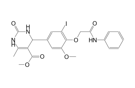 methyl 4-[4-(2-anilino-2-oxoethoxy)-3-iodo-5-methoxyphenyl]-6-methyl-2-oxo-1,2,3,4-tetrahydro-5-pyrimidinecarboxylate
