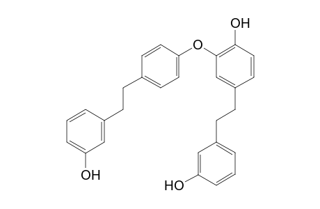 4-[2-(3-hydroxyphenyl)ethyl]-2-[4-[2-(3-hydroxyphenyl)ethyl]phenoxy]phenol