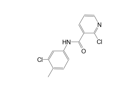 2-chloro-N-(3-chloro-4-methylphenyl)nicotinamide