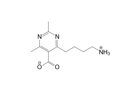 5-Pyrimidinecarboxylic acid, 4-(4-aminobutyl)-2,6-dimethyl-