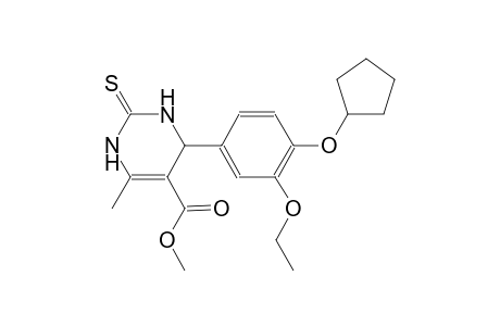 methyl 4-[4-(cyclopentyloxy)-3-ethoxyphenyl]-6-methyl-2-thioxo-1,2,3,4-tetrahydro-5-pyrimidinecarboxylate