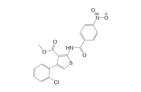 methyl 4-(2-chlorophenyl)-2-[(4-nitrobenzoyl)amino]-3-thiophenecarboxylate