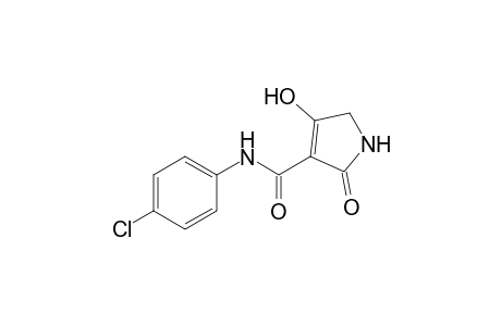 N-(4-Chlorophenyl)-4-hydroxy-2-oxo-2,5-dihydro-1H-pyrrole-3-carboxamide