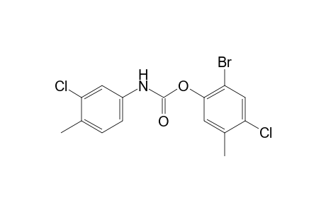 3-chloro-4-methylcarbanilic acid, 6-bromo-4-chloro-m-tolyl ester
