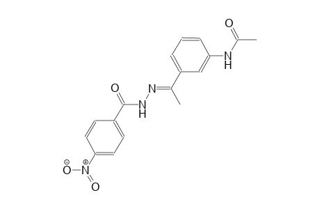 N-{3-[(1E)-N-(4-nitrobenzoyl)ethanehydrazonoyl]phenyl}acetamide