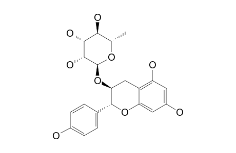 (+)-AFZELECHIN-3-O-ALPHA-L-RHAMNOPYRANOSIDE