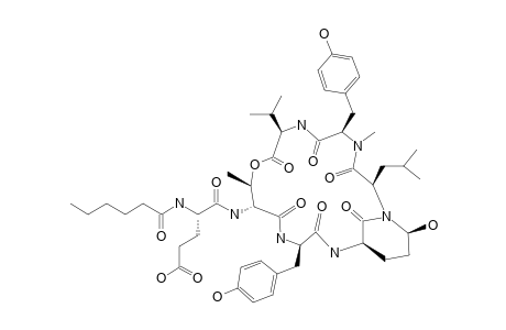 MICROPEPTIN_E