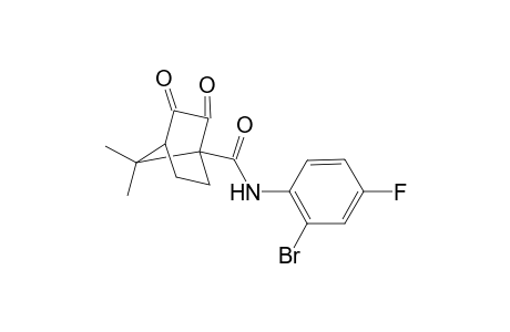 N-(2-bromo-4-fluorophenyl)-7,7-dimethyl-2,3-dioxobicyclo[2.2.1]heptane-1-carboxamide