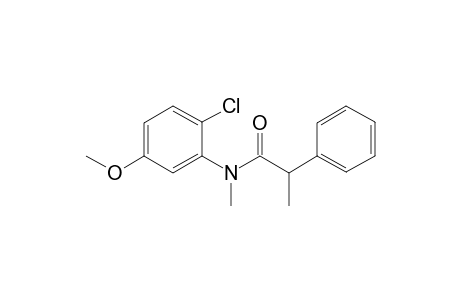 N-(2-Chloro-5-methoxyphenyl)-N-methyl-2-phenylpropanoic acid amide