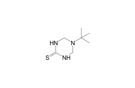5-tert-butyltetrahydro-s-triazine-2(1H)-thione