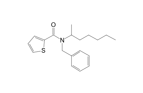 Thiophene-2-carboxamide, N-benzyl-N-(hept-2-yl)-