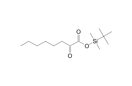 2-Oxooctanoic acid, tbdms derivative