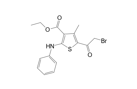 5-(2-bromo-acetyl)-4-methyl-2-phenylaminothiophene-3-carboxylic acid ethyl ester