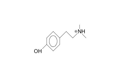 N,N-Dimethyl-4-hydroxy-phenethylammonium cation