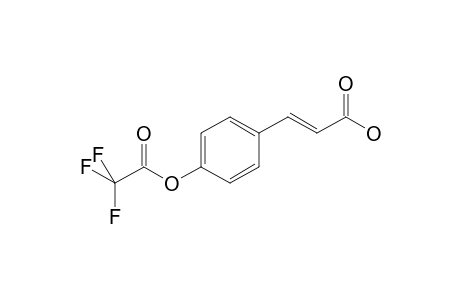 p-Coumaric acid TFA