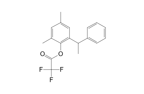 2,4-Dimethyl-6-(1-phenylethyl)phenol, trifluoroacetate