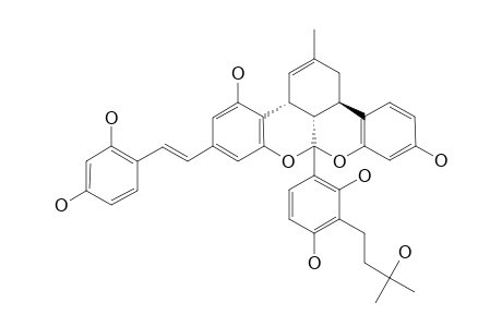 SOROCEIN-L