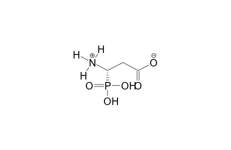 3-AMINO-3-PHOSPHONATOPROPIONIC ACID