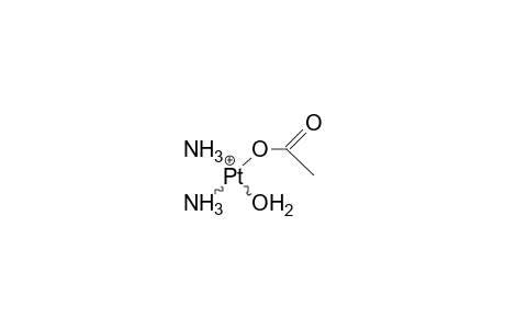 Acetyl-aquo-cis-diammine-platinum cation
