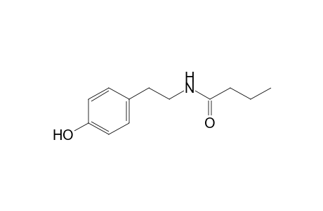 N-[2-(4-hydroxyphenyl)ethyl]butanamide