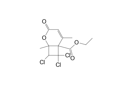 Ethyl 7,7,8-trichloro-1,5-dimethyl-3-oxo-2-oxabicyclo[4.2.0]oct-4-ene-6-carboxylate