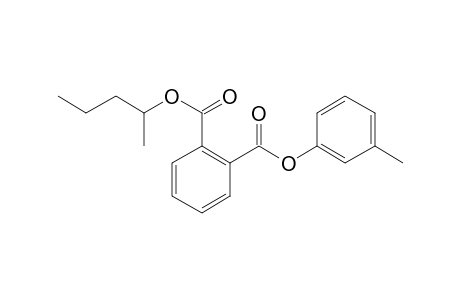 Phthalic acid, 3-methylphenyl 2-pentyl ester