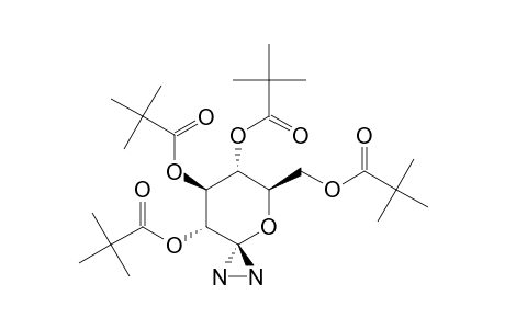 1,5-ANHYDRO-1-HYDRAZI-2,3,4,6-TETRA-O-PIVALOYL-D-GLUCITOL