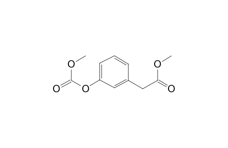 2-(3-Methoxycarbonyloxyphenyl)acetic acid, methyl ester