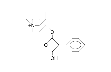 N-Propyl-atropinium cation (syn-propyl)