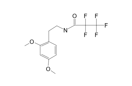 2-(2,4-Dimethoxyphenyl)ethylamine, pfp